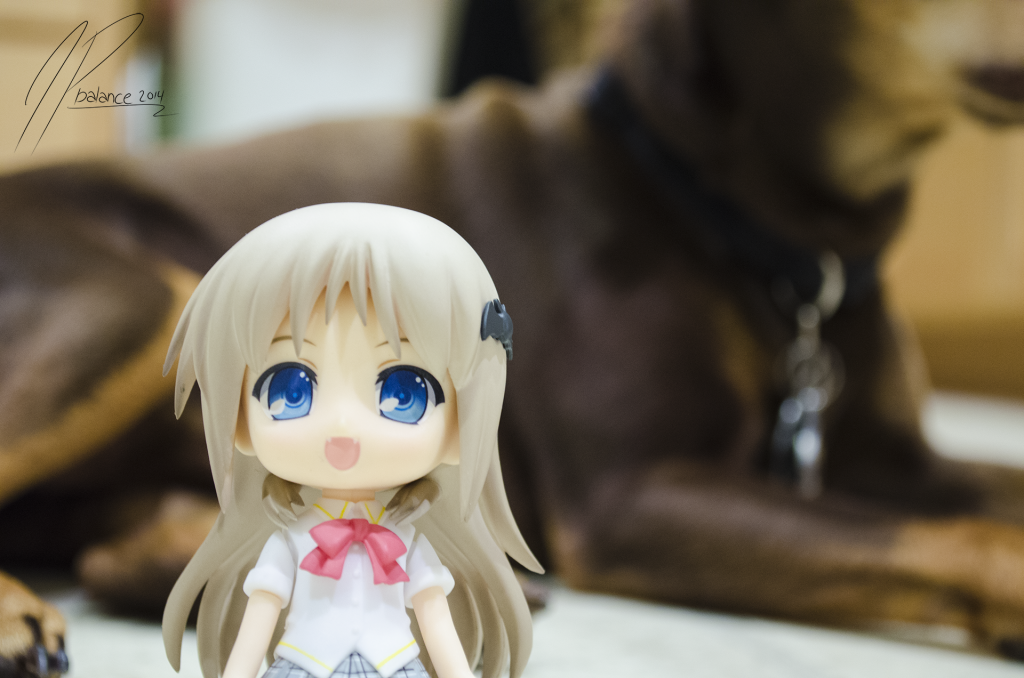 Kud seems to be enjoying the house and may have found a new friend!